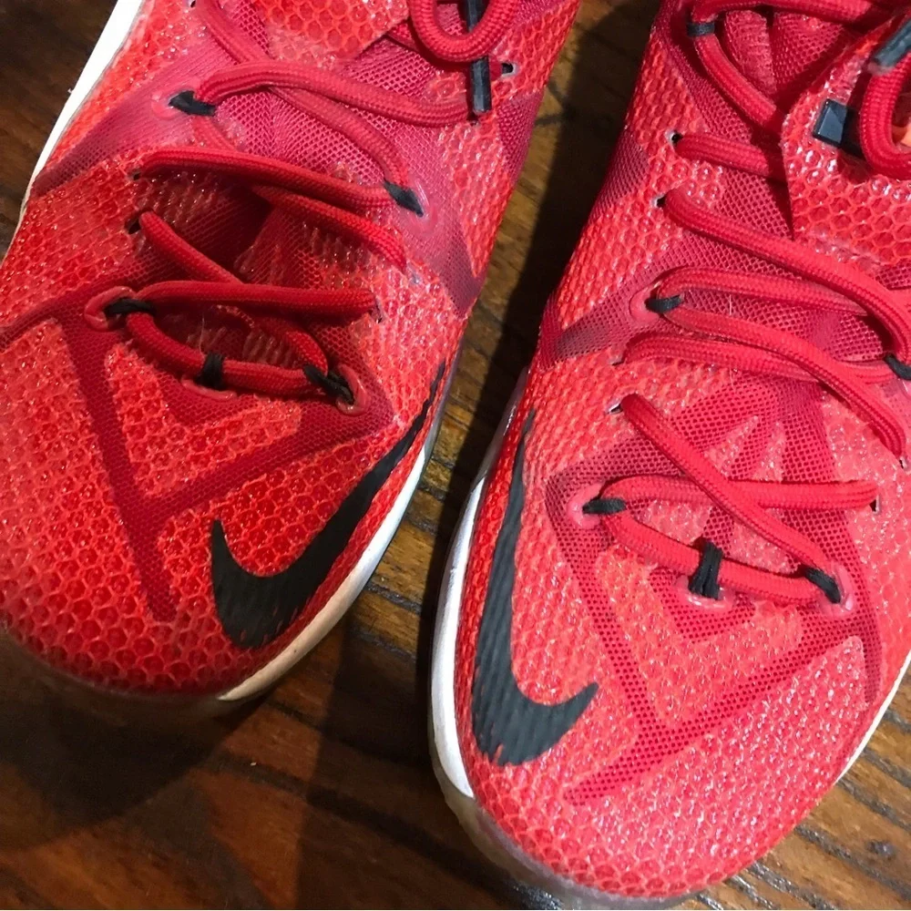 👟Nike Lebron XII Heart of a Lion Sneakers